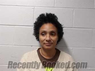 Recent Mugshot Image for REYES PREVOST, BRIZAIDA in Clay County, Indiana