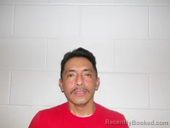 Recent Mugshot Image for VARGAS LOPEZ, LUIS in Clay County, Indiana