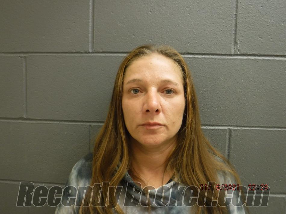 Recent Booking / Mugshot for Jamie Michele Harrington in Clay County