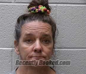 Recent Mugshot Image for MICHELLE LYNN THOMPSON in Henderson County, North Carolina