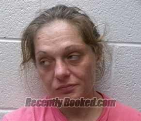 Recent Booking / Mugshot for TIFFANY LYNN CONNER in Henderson County
