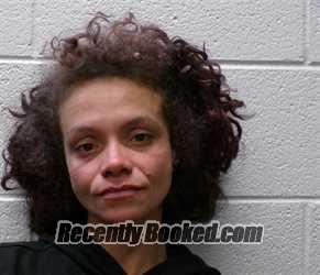 Recent Mugshot Image for AMELIA LOUISE GARREN in Henderson County, North Carolina