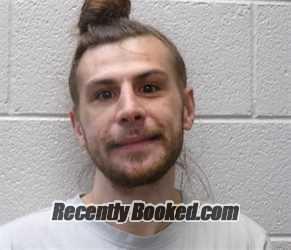 Recent Mugshot Image for JAMES AUSTIN WEST in Henderson County, North Carolina