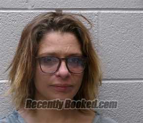 Recent Mugshot Image for EMILY ANN COHEN in Henderson County, North Carolina