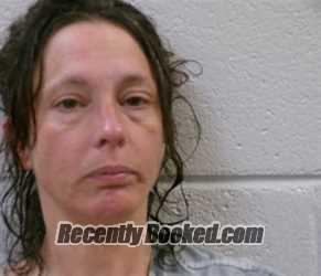 Recent Mugshot Image for JACOSA LYNN TEFFT in Henderson County, North Carolina