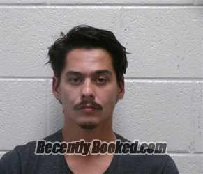 Recent Mugshot Image for ISAC MARIANO DONAVAN RAMIREZ in Henderson County, North Carolina