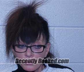 Recent Mugshot Image for PATRICIA ANN BRONCATTI-BROWN in Henderson County, North Carolina