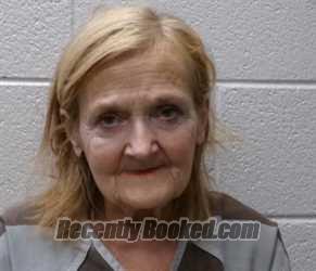 Recent Mugshot Image for DEBRA RIDDLE in Henderson County, North Carolina