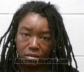 Recent Mugshot Image for ALISHA FAYE MITCHELL in Henderson County, North Carolina
