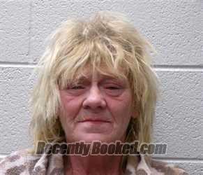 Recent Mugshot Image for MABEL BALLARD MCKINNEY in Henderson County, North Carolina