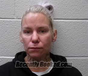 Recent Mugshot Image for COURTNEY MARIE MACMAIN in Henderson County, North Carolina
