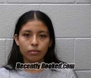 Recent Mugshot Image for SAMANTHA ANDRADE-ARCOS in Henderson County, North Carolina