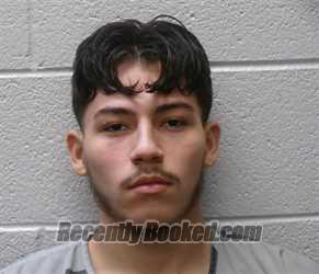 Recent Mugshot Image for CALEB MIGUEL HENSLEY in Henderson County, North Carolina