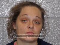 Recent Booking / Mugshot for TIFFANY LYNN CONNER in Henderson County