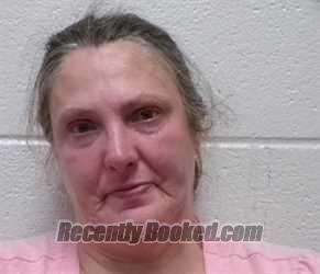 Recent Mugshot Image for CHRISTINE TABITHA BALLA in Henderson County, North Carolina