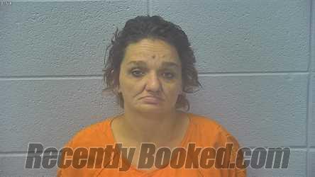 Recent Mugshot Image for TIFFANY RENEE GOODMAN in Dubois County, Indiana