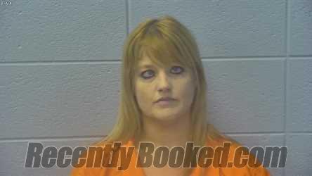 Recent Mugshot Image for DEIDRA ANN PAUW in Dubois County, Indiana