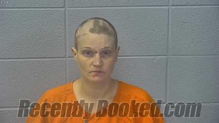 Recent Mugshot Image for RACHEL ELIZABETH ATWOOD in Dubois County, Indiana