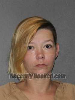Recent Mugshot Image for Staci Michelle Riddle in Elkhart County, Indiana