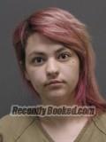 Recent Mugshot Image for Sarah Ann Holt in Elkhart County, Indiana