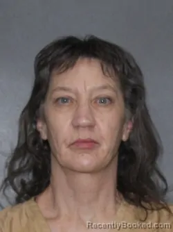 Recent Mugshot Image for Angela Dawn Hays in Elkhart County, Indiana
