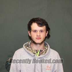 Recent Mugshot Image for LANE M DILDINE in Fountain County, Indiana