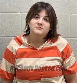 Recent Mugshot Image for ANDREA MCKAY POTTER in Fulton County, Indiana