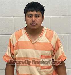 Recent Mugshot Image for ELMER ROJAS TOMAS RAMOS in Fulton County, Indiana