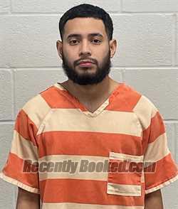 Recent Mugshot Image for LUIS ALFONSO CELIS- ALBURGUE in Fulton County, Indiana
