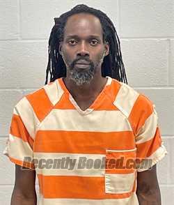 Recent Mugshot Image for ODHOI SOMANJE in Fulton County, Indiana