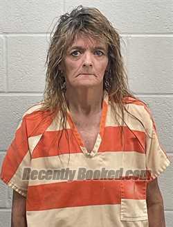 Recent Mugshot Image for MARY ANN GRIMM in Fulton County, Indiana
