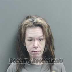Recent Mugshot Image for Erika Jean Goins in Grant County, Indiana