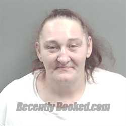 Recent Mugshot Image for Sunshine Marie Reynolds in Grant County, Indiana