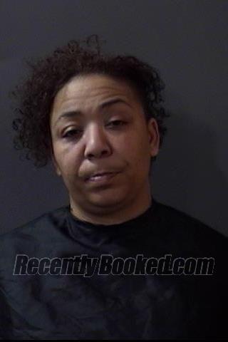 Recent Mugshot Image for Jamie Angeline Taylor in Hamilton County, Indiana