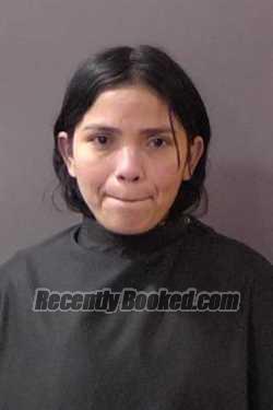 Recent Booking / Mugshot for Kimberlis J Infante Lucena in Hamilton