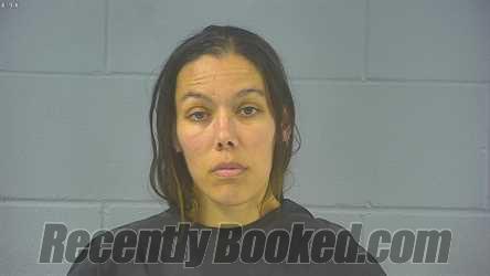 Recent Mugshot Image for MICHELLE NICOLE BANNISTER in Hancock County, Indiana