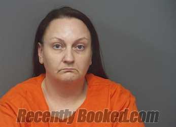 Recent Booking / Mugshot for CRISTY MICHELLE DEWEESE in Hendricks