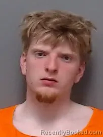 Recent Mugshot Image for DYLAN MCKADE BARDSLEY in Hendricks County, Indiana