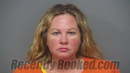 Recent Booking / Mugshot for TINA MARIE BEAR in Hendricks County, Indiana