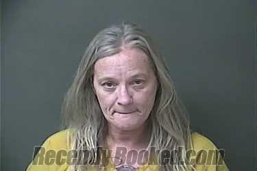 Recent Booking / Mugshot for DANA MICHELLE COOK in Howard County, Indiana