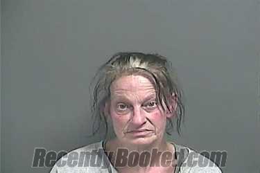 Recent Mugshot Image for JACQUELINE SUZANN BURRESS in Knox County, Indiana