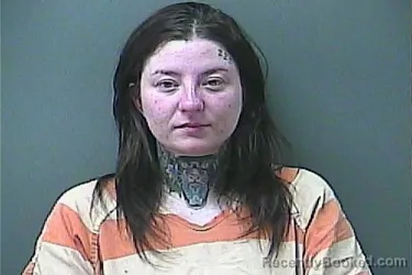 Recent Mugshot Image for BRAYDIE SEE in La Porte County, Indiana
