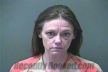 Recent Booking / Mugshot for ERICA S MINDER in La Porte County, Indiana