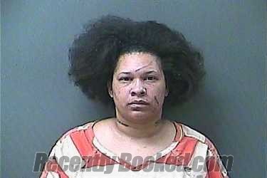 Recent Mugshot Image for MISS SIERRA FLEMING in La Porte County, Indiana