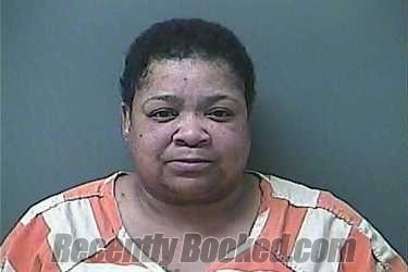 Recent Mugshot Image for ROSE M JAMES in La Porte County, Indiana