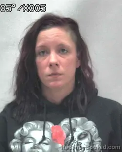 Recent Mugshot Image for ASHLEY ROSE BARDOCZI in Lake County, Indiana