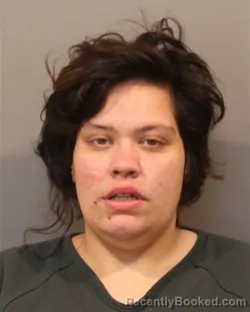 Recent Mugshot Image for JANNA ELIZABETH COVELLI in Lake County, Indiana