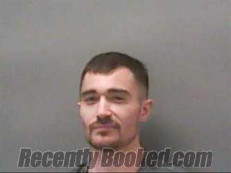 Recent Booking / Mugshot for ANDREW RIDDELL in Newton County, Indiana