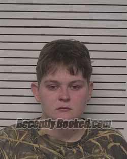 Recent Mugshot Image for ASHLEY MARIE POTTER in Iredell County, North Carolina