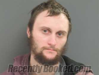 Recent Mugshot Image for ROBERT E CSERNELABICS in Parke County, Indiana